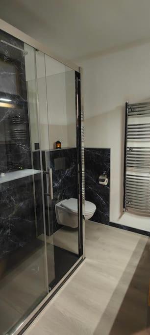 Appartement Premium A Salins *