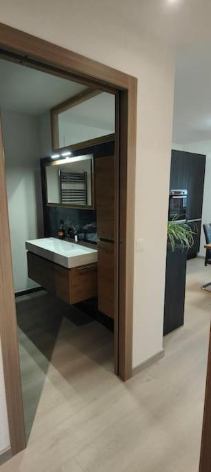 Premium A Salins Apartment Sion